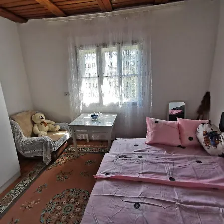 Mileva シェニツァ