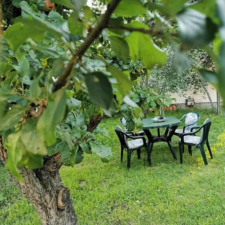 ゲストハウス Mileva シェニツァ