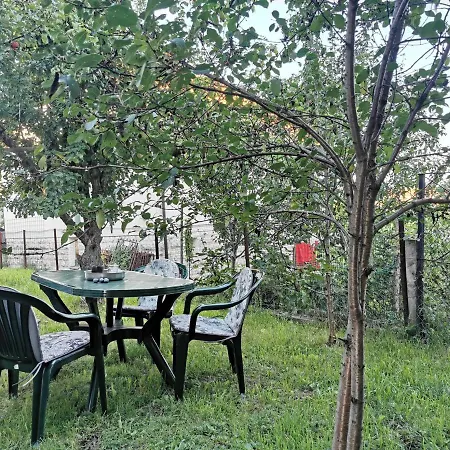 Mileva 3* シェニツァ