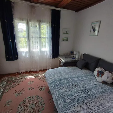 Pensjonat Mileva